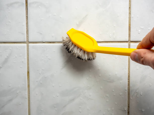 Mold Removal Process in Park City, IL