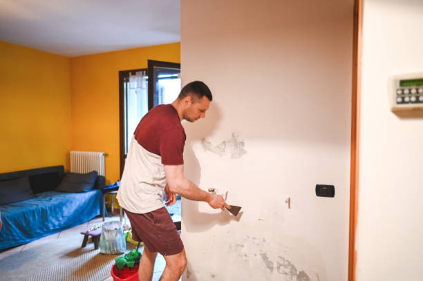 Best Attic Mold Removal  in Park City, IL
